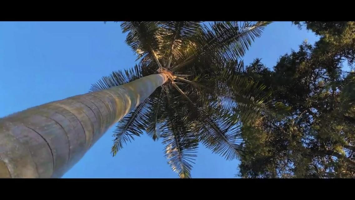 Hostal Johnnier Macao Punta Cana Kültér fotó