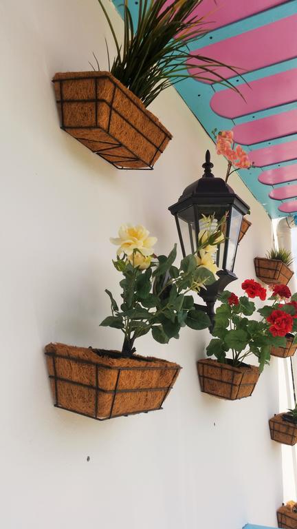 Hostal Johnnier Macao Punta Cana Kültér fotó